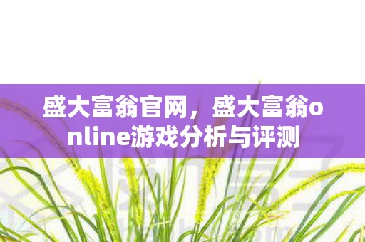 盛大富翁官网,盛大富翁online游戏分析与评测 盛大富翁官网,盛大富翁online游戏分析与评测