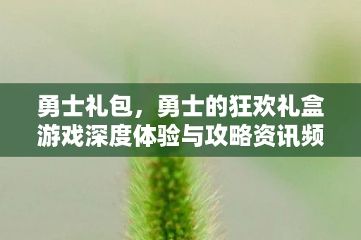 勇士礼包，勇士的狂欢礼盒游戏深度体验与攻略资讯频道手游