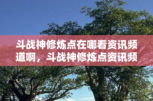 斗战神修炼点在哪看资讯频道啊，斗战神修炼点资讯频道详解