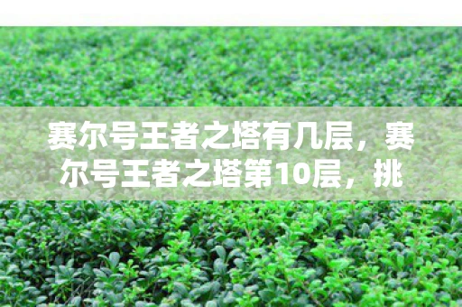 赛尔号王者之塔有几层,赛尔号王者之塔第10层,挑战极限 赛尔号王者之塔有几层,赛尔号王者之塔第10层,挑战极限