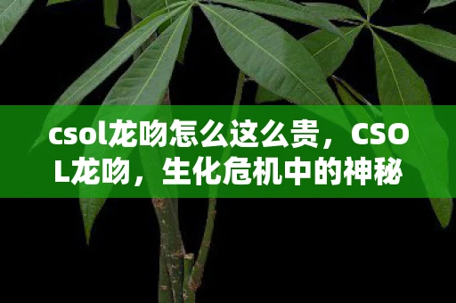 csol龙吻怎么这么贵，CSOL龙吻，生化危机中的神秘武器—手