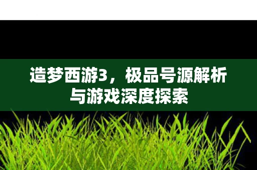 极品号源解析与游戏深度探索图片