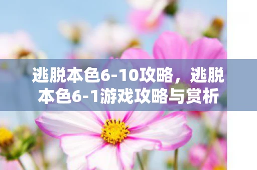 逃脱本色6-10攻略,逃脱本色6-1游戏攻略与赏析 逃脱本色6-10攻略,逃脱本色6-1游戏攻略与赏析