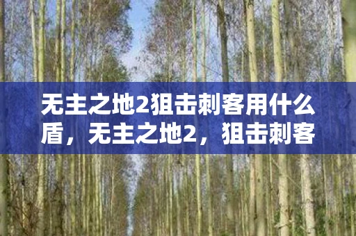 无主之地2狙击刺客用什么盾,无主之地2,狙击刺客的加点策略 无主之地2狙击刺客用什么盾,无主之地2,狙击刺客的加点策略