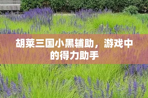 胡莱三国小黑辅助图片