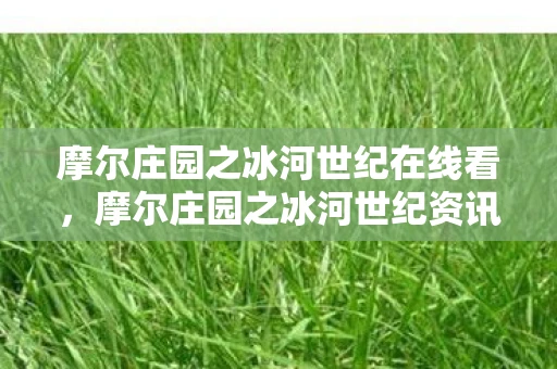 摩尔庄园之冰河世纪在线看,摩尔庄园之冰河世纪资讯频道,全新冒险,火热开启! 摩尔庄园之冰河世纪在线看,摩尔庄园之冰河世纪资讯频道,全新冒险,火热开启!