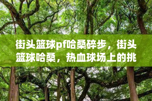 街头篮球pf哈桑碎步，街头篮球哈桑，热血球场上的挑战与荣耀