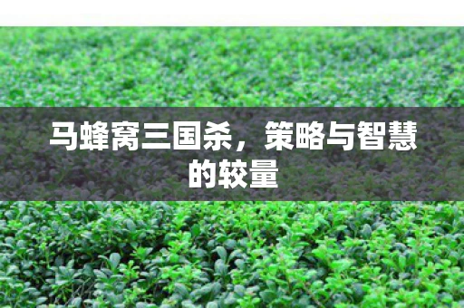 策略与智慧的较量图片