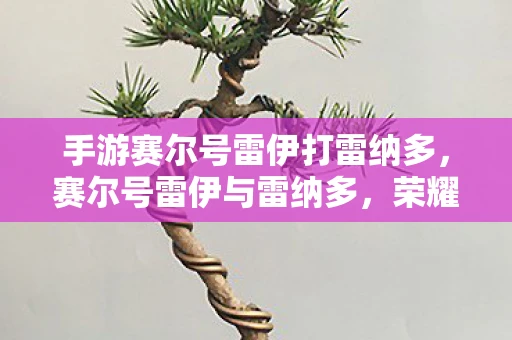 手游赛尔号雷伊打雷纳多,赛尔号雷伊与雷纳多,荣耀与勇气的巅峰对决 手游赛尔号雷伊打雷纳多,赛尔号雷伊与雷纳多,荣耀与勇气的巅峰对决