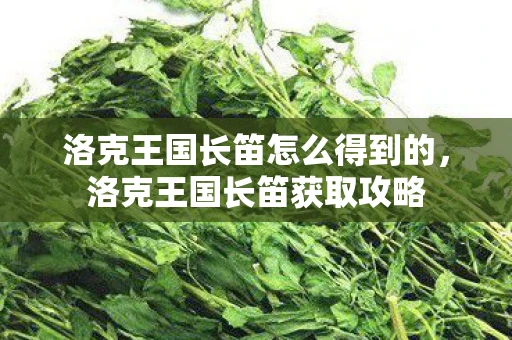 洛克王国长笛怎么得到的,洛克王国长笛获取攻略 洛克王国长笛怎么得到的,洛克王国长笛获取攻略