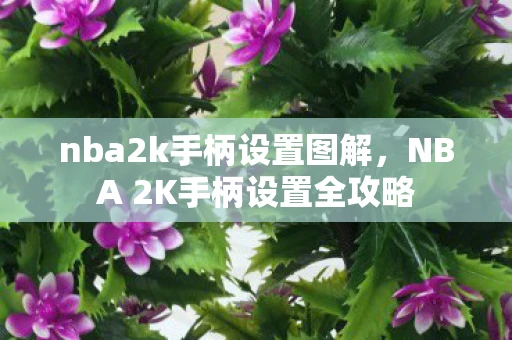nba2k手柄设置图解，NBA 2K手柄设置全攻略