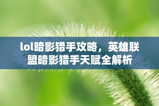 lol暗影猎手攻略，英雄联盟暗影猎手天赋全解析