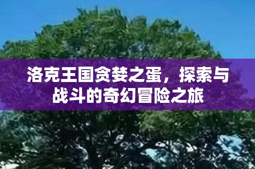 探索与战斗的奇幻冒险之旅图片