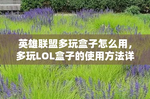 英雄联盟多玩盒子怎么用,多玩LOL盒子的使用方法详解 英雄联盟多玩盒子怎么用,多玩LOL盒子的使用方法详解