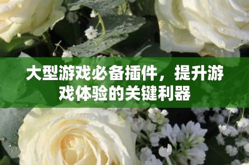提升游戏体验的关键利器图片