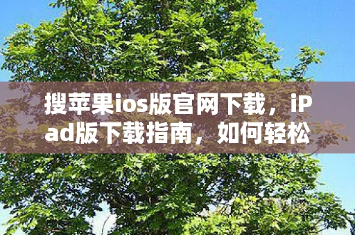 搜苹果ios版官网下载，iPad版下载指南，如何轻松获取心仪应用？