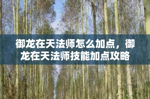 御龙在天法师怎么加点,御龙在天法师技能加点攻略 御龙在天法师怎么加点,御龙在天法师技能加点攻略