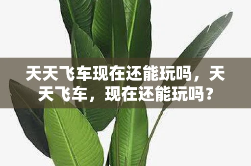 天天飞车现在还能玩吗,天天飞车,现在还能玩吗? 天天飞车现在还能玩吗,天天飞车,现在还能玩吗?