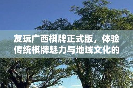 友玩广西棋牌正式版，体验传统棋牌魅力与地域文化的完美结合