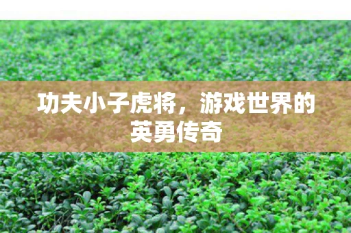 游戏世界的英勇传奇图片