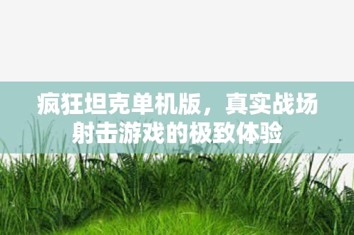真实战场射击游戏的极致体验图片