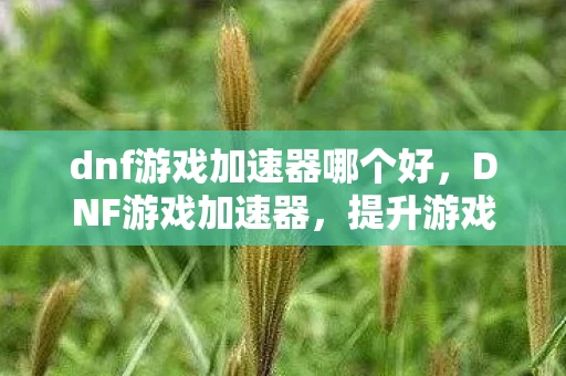 dnf游戏加速器哪个好,DNF游戏加速器,提升游戏体验的必备工具资讯频道 dnf游戏加速器哪个好,DNF游戏加速器,提升游戏体验的必备工具资讯频道
