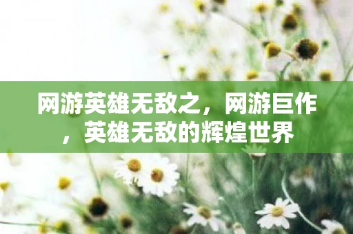 网游英雄无敌之,网游巨作,英雄无敌的辉煌世界 网游英雄无敌之,网游巨作,英雄无敌的辉煌世界