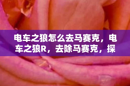 电车之狼怎么去马赛克，电车之狼R，去除马赛克，探索真实世界