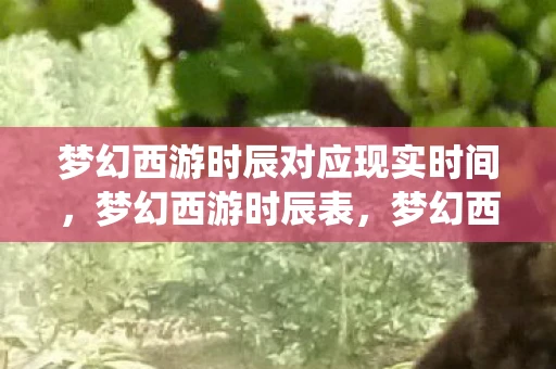 梦幻西游时辰对应现实时间，梦幻西游时辰表，梦幻西游时辰系统与游戏内时间管理详解