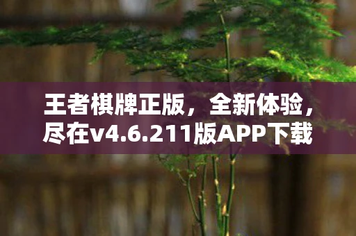 王者棋牌正版，全新体验，尽在v4.6.211版APP下载