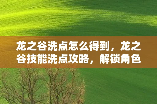 龙之谷洗点怎么得到,龙之谷技能洗点攻略,解锁角色超强能力 龙之谷洗点怎么得到,龙之谷技能洗点攻略,解锁角色超强能力