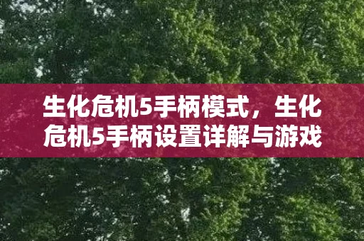 生化危机5手柄模式，生化危机5手柄设置详解与游戏体验分享