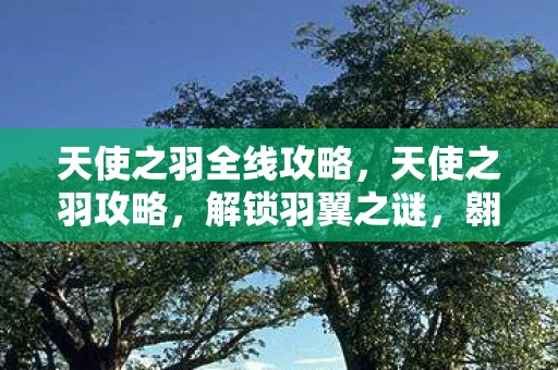 天使之羽全线攻略，天使之羽攻略，解锁羽翼之谜，翱翔幻想天际