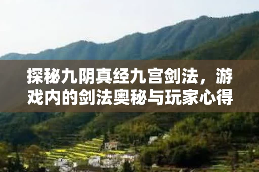 游戏内的剑法奥秘与玩家心得图片