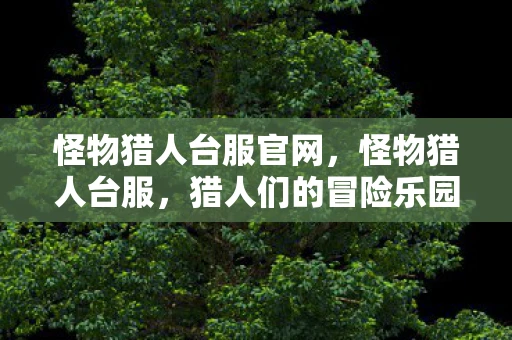 怪物猎人台服官网，怪物猎人台服，猎人们的冒险乐园