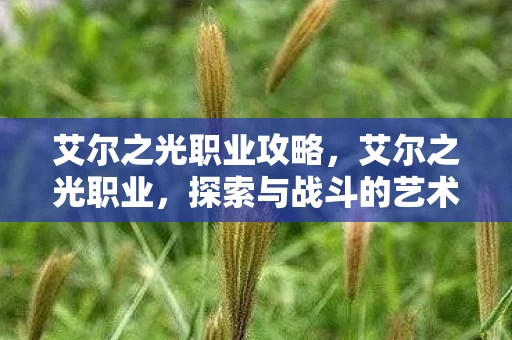 艾尔之光职业攻略，艾尔之光职业，探索与战斗的艺术