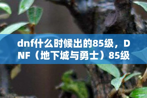 dnf什么时候出的85级,DNF(地下城与勇士)85级新版本前瞻 dnf什么时候出的85级,DNF(地下城与勇士)85级新版本前瞻