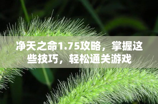 净天之命1.75攻略，掌握这些技巧，轻松通关游戏