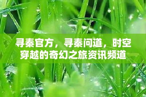 寻秦官方，寻秦问道，时空穿越的奇幻之旅资讯频道