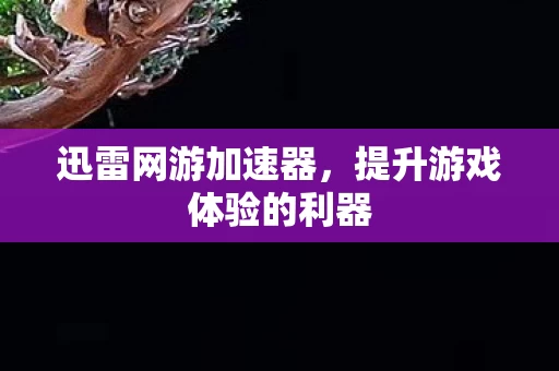 提升游戏体验的利器图片