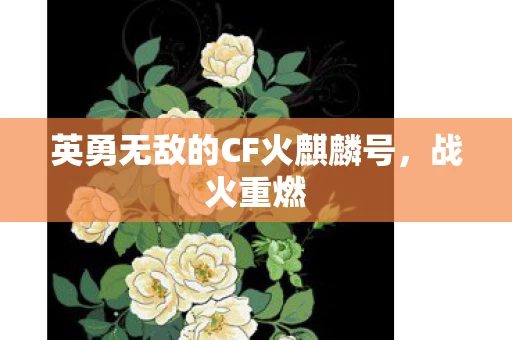 英勇无敌的CF火麒麟号图片