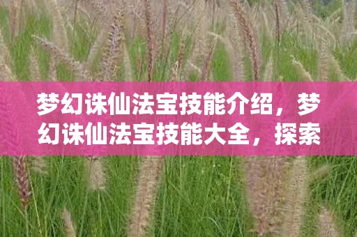 梦幻诛仙法宝技能介绍,梦幻诛仙法宝技能大全,探索与战斗的终极武器! 梦幻诛仙法宝技能介绍,梦幻诛仙法宝技能大全,探索与战斗的终极武器!