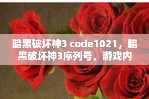暗黑破坏神3 code1021,暗黑破坏神3序列号,游戏内外的谜题与深度解析 暗黑破坏神3 code1021,暗黑破坏神3序列号,游戏内外的谜题与深度解析