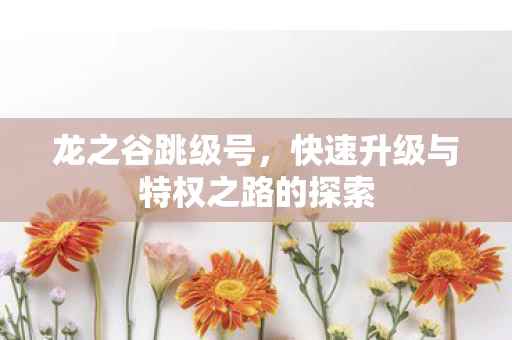 快速升级与特权之路的探索图片