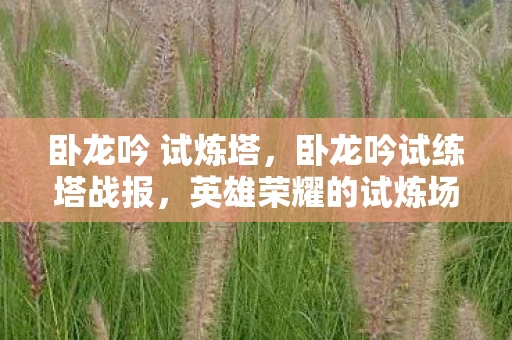 卧龙吟 试炼塔,卧龙吟试练塔战报,英雄荣耀的试炼场 卧龙吟 试炼塔,卧龙吟试练塔战报,英雄荣耀的试炼场