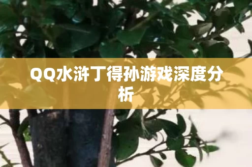 QQ水浒丁得孙游戏深度分析图片