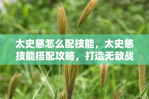 太史慈怎么配技能，太史慈技能搭配攻略，打造无敌战斗阵容