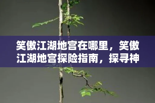 笑傲江湖地宫在哪里,笑傲江湖地宫探险指南,探寻神秘秘境的详细攻略 笑傲江湖地宫在哪里,笑傲江湖地宫探险指南,探寻神秘秘境的详细攻略