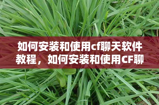 如何安装和使用cf聊天软件教程,如何安装和使用CF聊天软件 如何安装和使用cf聊天软件教程,如何安装和使用CF聊天软件