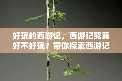 好玩的西游记,西游记究竟好不好玩?带你探索西游记的无限魅力 好玩的西游记,西游记究竟好不好玩?带你探索西游记的无限魅力